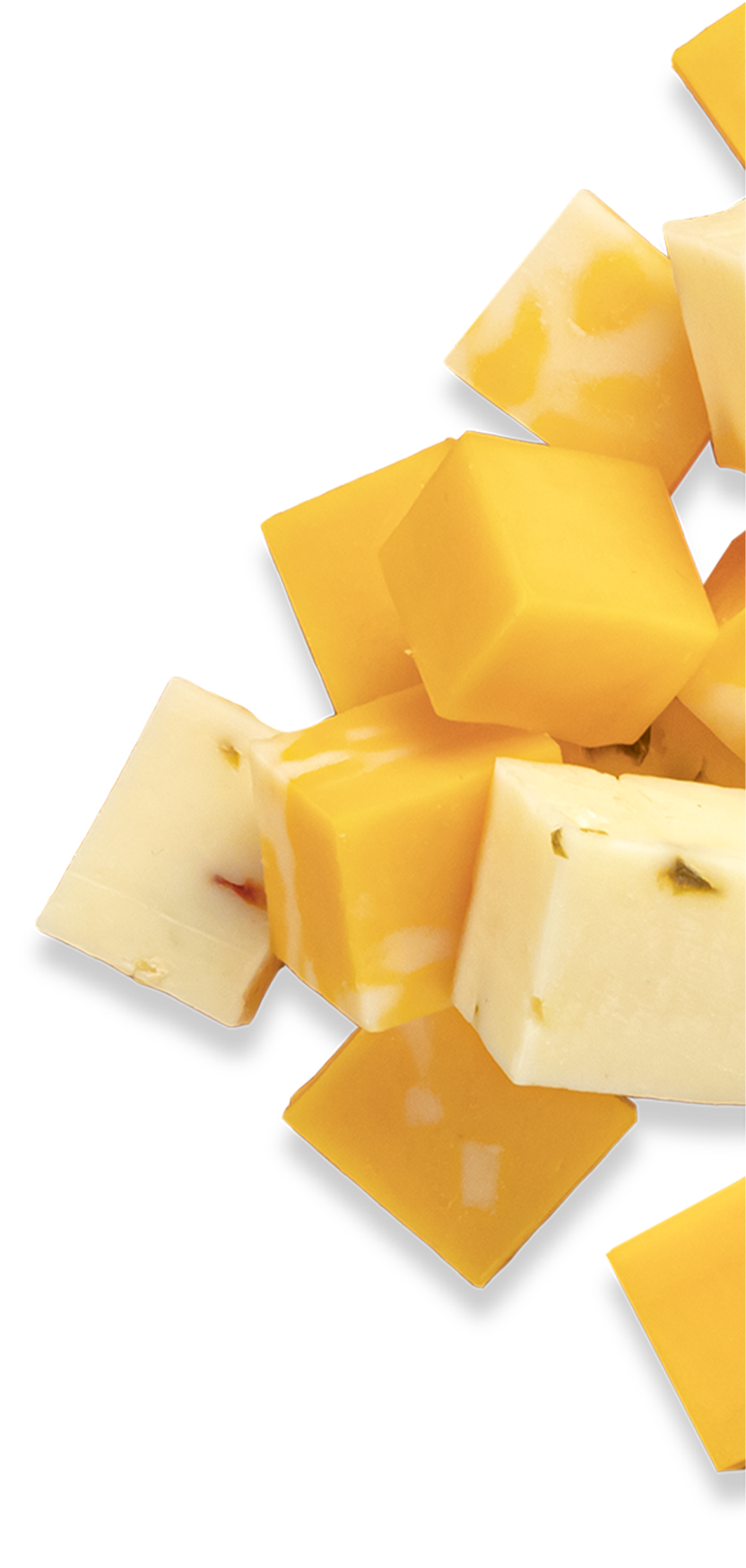 Slices of Wisconsin's Finest Cheddar Cheese